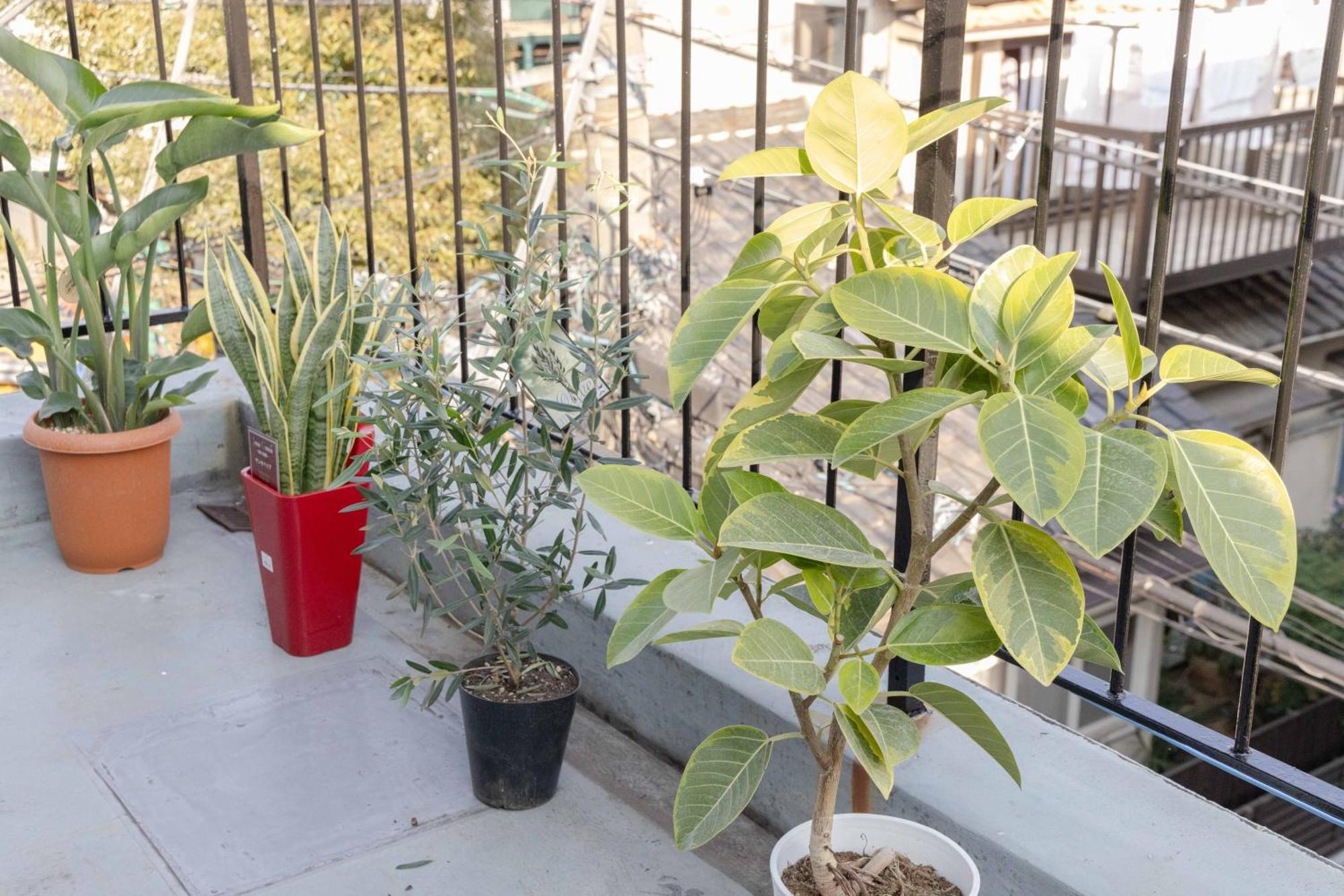Apartament Buran House Tokio Zewnętrze zdjęcie